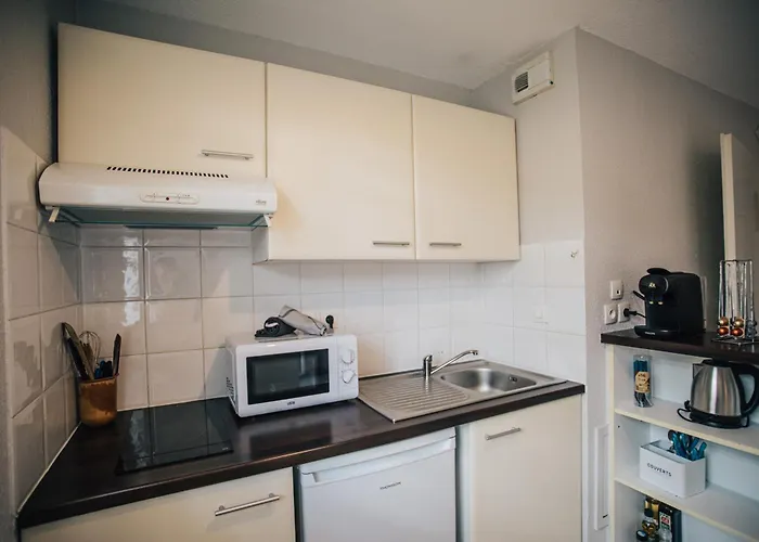 Bird Garden, Piscine, Parking, Calme Апартаменты Монтобан